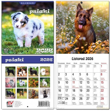Kalendarz 2026 dla dzieci 16x32 13 plansz Psiaki [KALENDARZ]