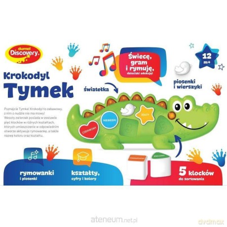 Krokodyl Tymek sortowanie i śpiewanie