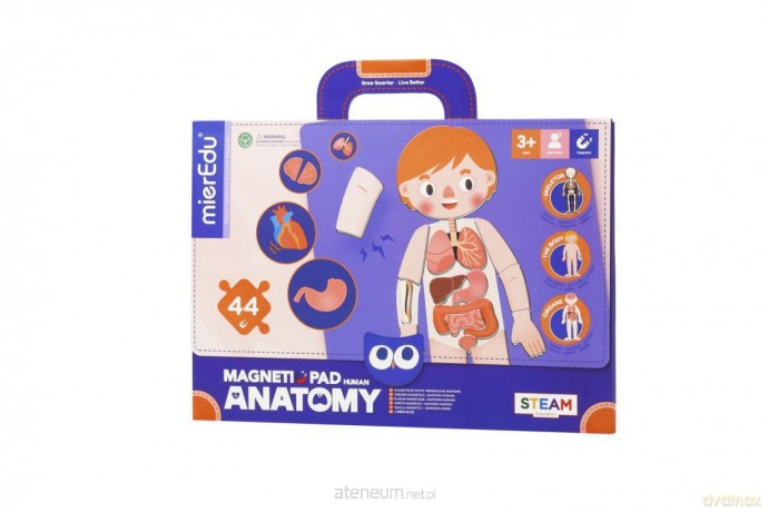 Magnetyczna podkładka - Anatomia człowieka [PUZZLE]