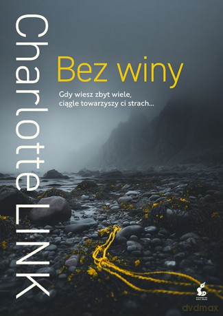 Bez winy - Charlotte Link [KSIĄŻKA]
