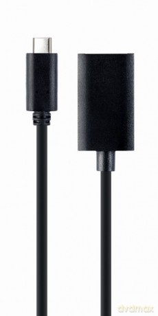 Adapter USB-C do DisplayPort 4K 15 cm