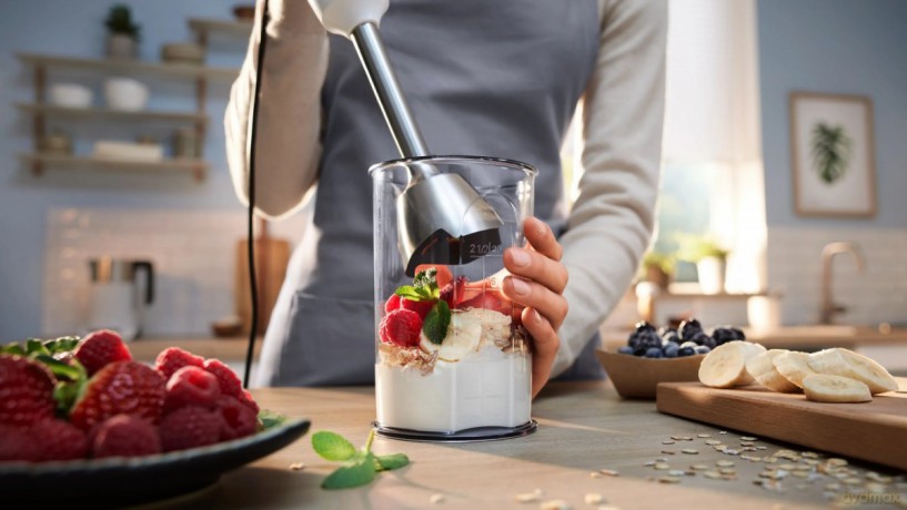 Blender ręczny MSM4W221