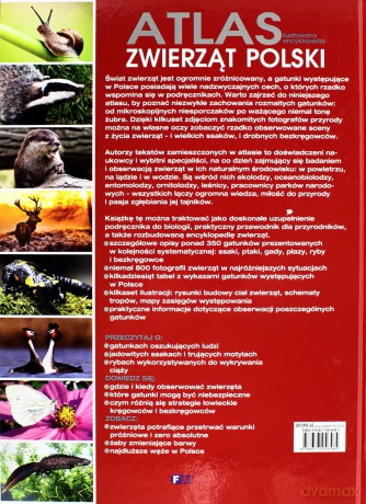 Atlas ilustrowana encyklopedia zwierząt polski tw [KSIĄŻKA]
