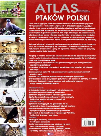 Atlas ilustrowana encyklopedia ptaków polski tw [KSIĄŻKA]
