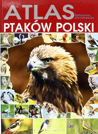 Atlas ilustrowana encyklopedia ptaków polski tw [KSIĄŻKA]