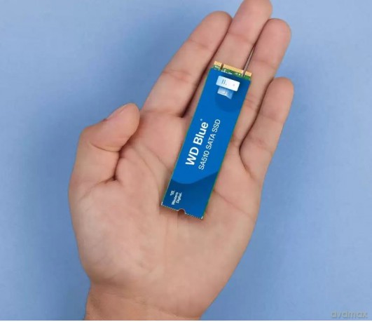 Dysk SSD Blue 2TB SA510 M.2 2280 WDS200T3B0B