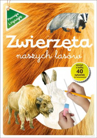 Zwierzęta naszych lasów - Grażyna Maternicka [KSIĄŻKA]