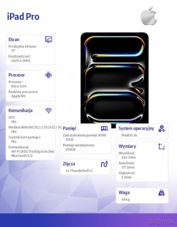 iPad Pro 11-calowy Wi-Fi 256 GB ze standardowym szkłem - Gwiezdna czerń