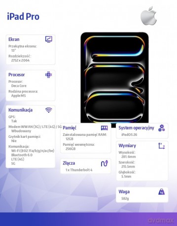 iPad Pro 13-calowy Wi-Fi + Cellular 256 GB ze standardowym szkłem - Gwiezdna czerń