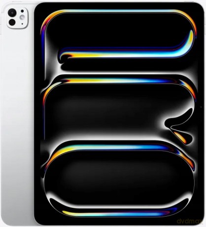 iPad Pro 13-calowy Wi-Fi + Cellular 256GB ze szkłem standardowym - Srebrny