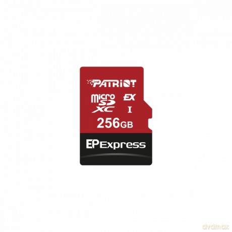 Karta microSDXC 256GB Express 800/600MB/s Nintendo Switch 2