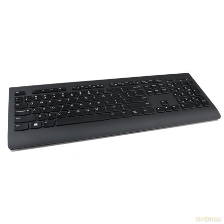Klawiatura bezprzewodowa Professional - US Euro 4X30H56874