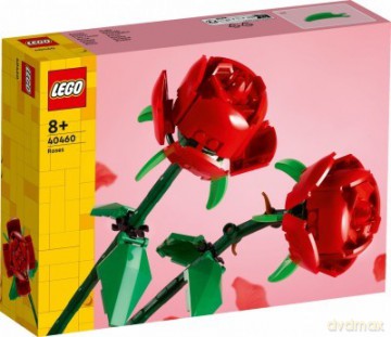 Klocki Botanicals Display Slim