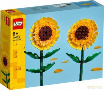 Klocki Botanicals Display Slim