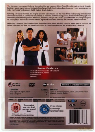 Grey\'s Anatomy Season 10 (Chirurdzy Sezon 10) [6DVD]