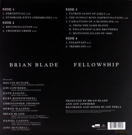 Brian Blade: Perceptual [2xWinyl]
