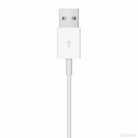 Przewód do ładowania Apple Watch podłączany magnetycznie (1 m)