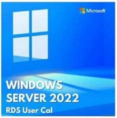 ROK Win Svr CAL 2022 User 10Clt 7S050080WW
