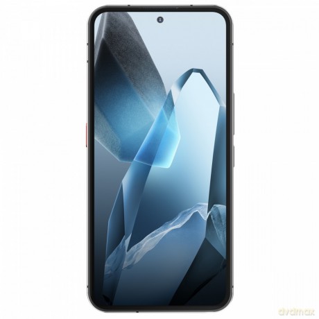 Smartfon WP200 Pro 5G 24GB/1TB IP69K Szary