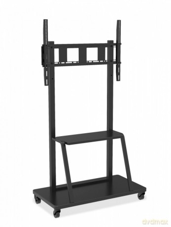 Stojak LCD 55-100 cali 150 kg