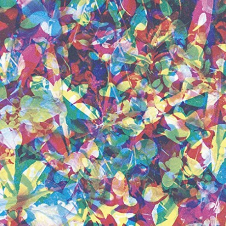 Caribou: Our Love [CD]