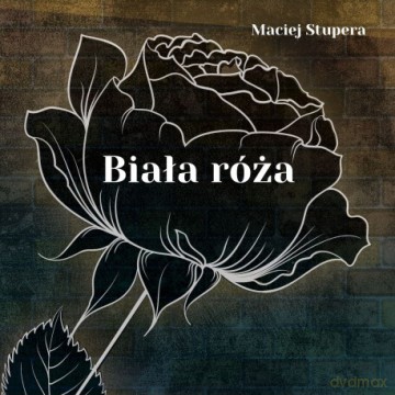 Biała róża - Maciej Stupera [KSIĄŻKA]