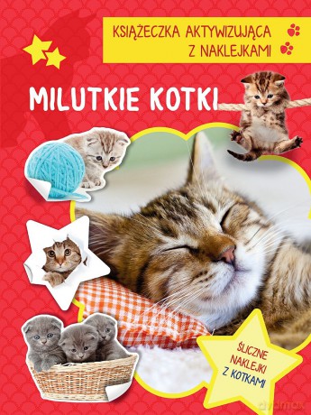 Milutkie kotki. Książeczka aktywizująca z naklejkami [KSIĄŻKA]