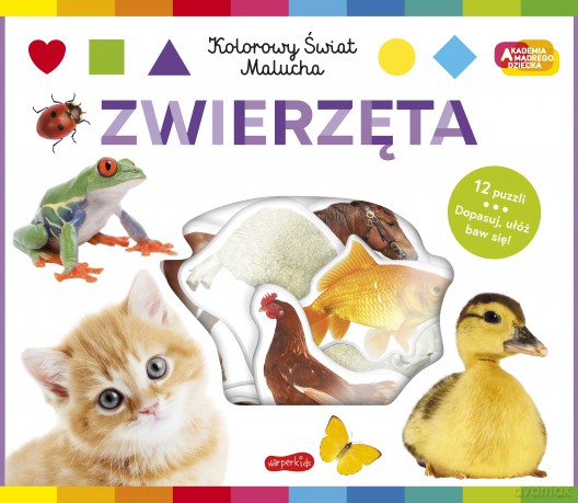 Zwierzęta. Akademia mądrego dziecka. Kolorowy świat malucha [KSIĄŻKA]