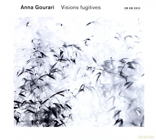 Anna Gourari: Visions Fugutatives [CD]