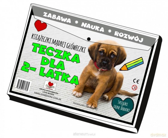 Teczka dla 2 latka. Książeczki mądrej główeczki - Love Books [KSIĄŻKA]