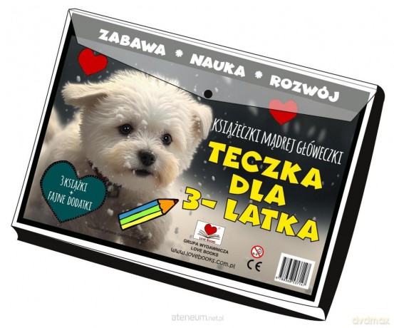 Teczka dla 3 latka. Książeczki mądrej główeczki