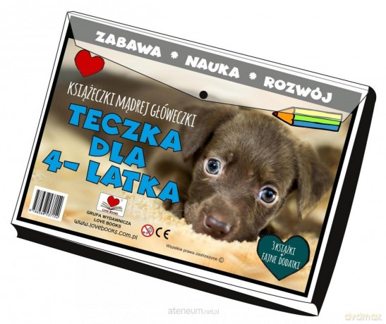 Teczka dla 4 latka. Książeczki mądrej główeczki [KSIĄŻKA]