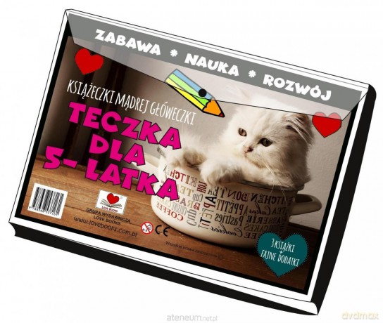 Teczka dla 5 latka. Książeczki mądrej główeczki [KSIĄŻKA]