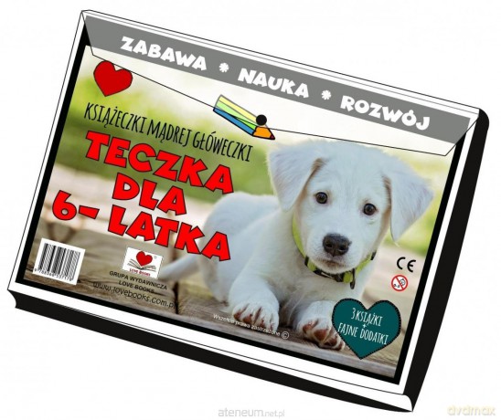 Teczka dla 6 latka. Książeczki mądrej główeczki [KSIĄŻKA]
