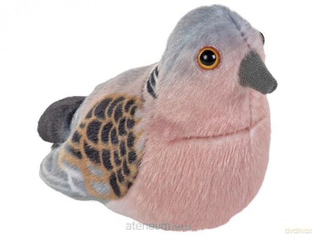 Turkawka