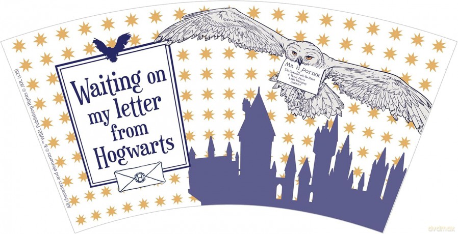 HARRY POTTER - Kubek - 250 ml - Letter from Hogwarts