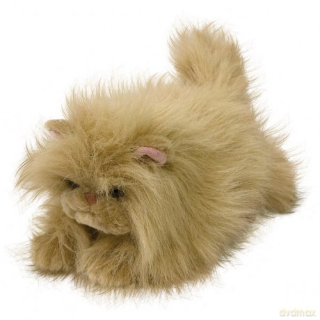 BEPPE Kot Biszkopt 25 cm Beżowy [ZABAWKA]