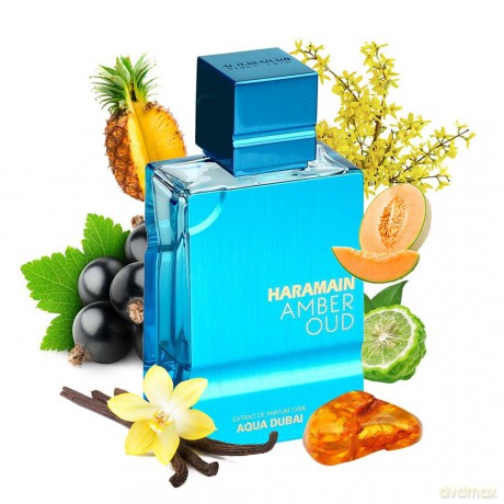 Amber Oud Aqua Dubai - parfmovan extrakt - Volume: 100 ml