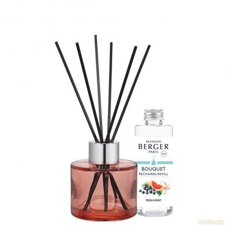 Aroma diffuser Mini Bouquet Summer Fresh Spirit 90 ml