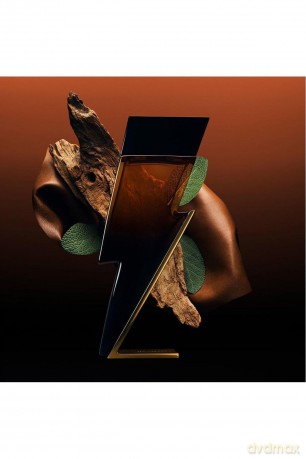 Bad Boy Elixir - Woda perfumowana - Volume: 100 ml