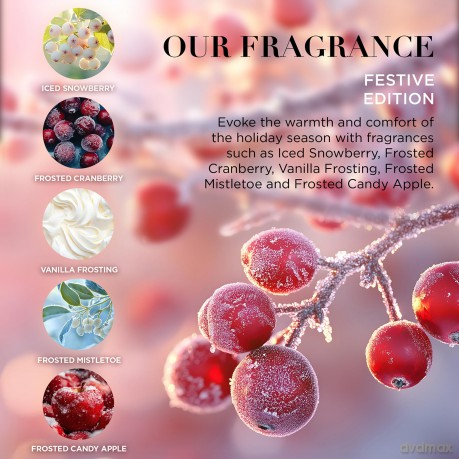 Festive Edition Gift Set 3 x 30 ml