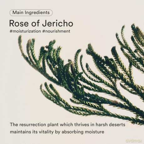 Firming Drop (Jericho Rose Bifida Serum) 50 ml