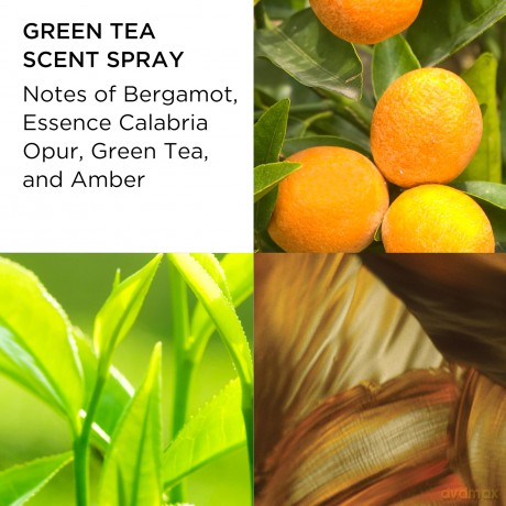 Green Tea - Woda toaletowa 100 ml + tlov krm 100 ml