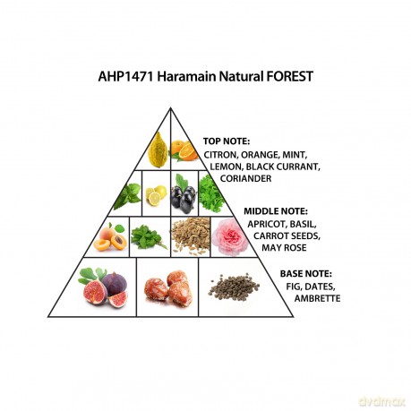 Natural Forest - parfmovan extrakt - Volume: 100 ml