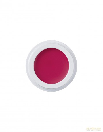 Natural multi-makeup Beauty Evolution All Over Color (Multi-Use Organic Cream Colour) 5 g - Shade: Fuchsine