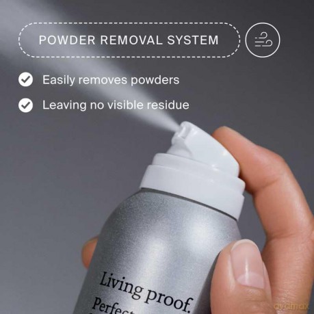 Perfect Hair Day Dry Shampoo (Advanced Clean Dry Shampoo) - Volume: 355 ml