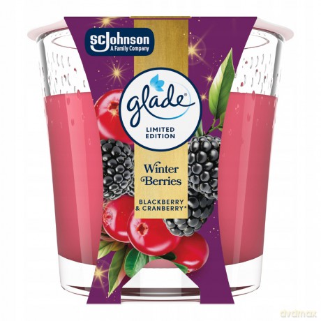 Scented candle Winter Berries 112 g