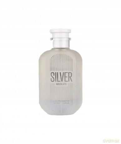 Silver Absolute - Woda perfumowana - Volume: 100 ml