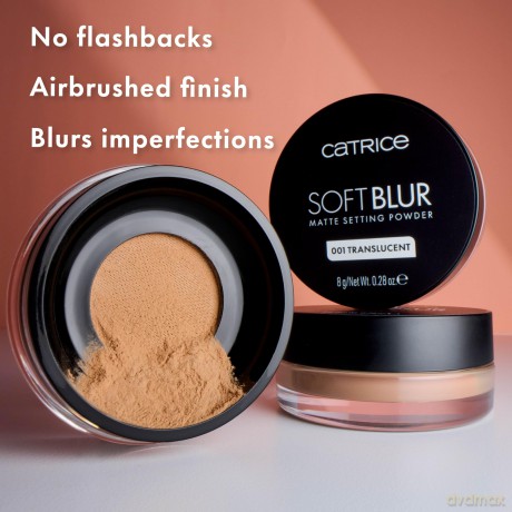 Soft Blur Loose Powder (Matte Setting Powder) 8 g - Shade: 040 Pink Stardust