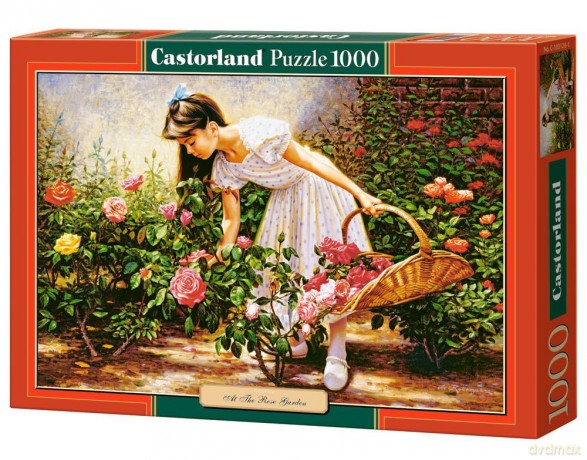 CASTOR 1000 EL. At The Rose Garden [PUZZLE]